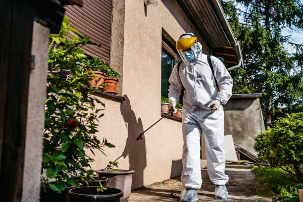 Best Pest Inspection Near Me  in Caldwell, NJ
