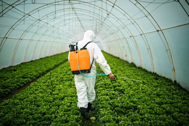 Best Mosquito Control Services  in Caldwell, NJ