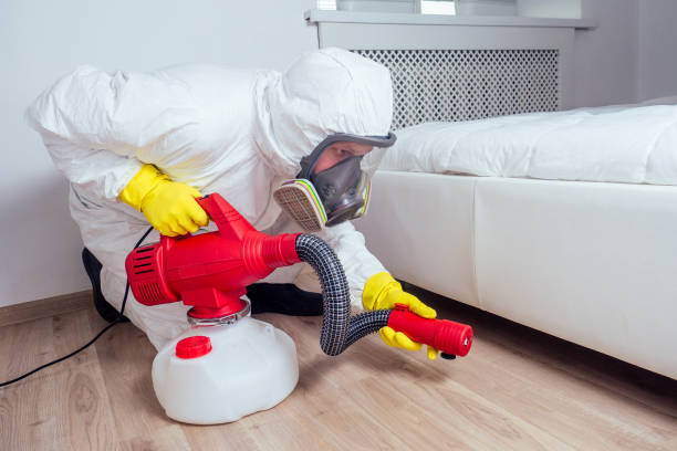 Best Termite Control Services  in Caldwell, NJ