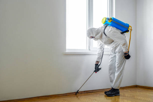 Best Termite Control Services  in Caldwell, NJ