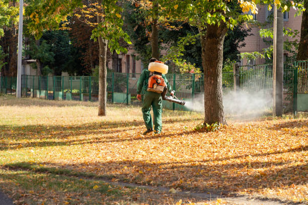 Best Affordable Pest Control Services  in Caldwell, NJ
