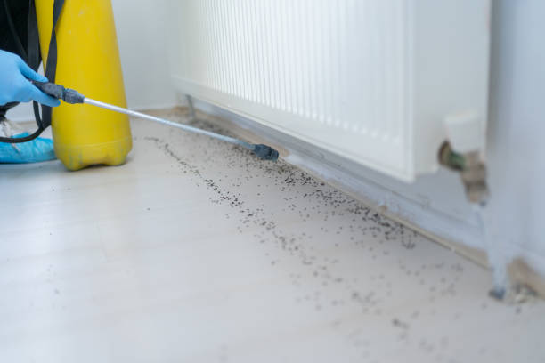 Best Commercial Pest Control Services  in Caldwell, NJ