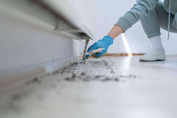 Best Pest Removal Services  in Caldwell, NJ